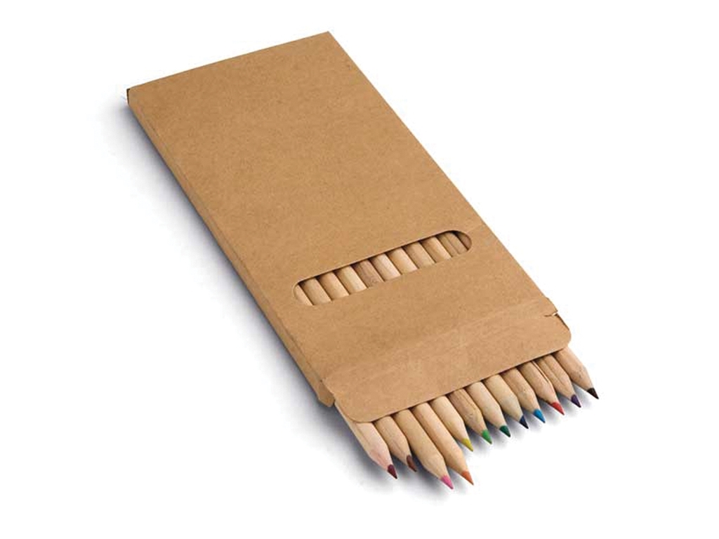 12 Natural Painting Pen Set